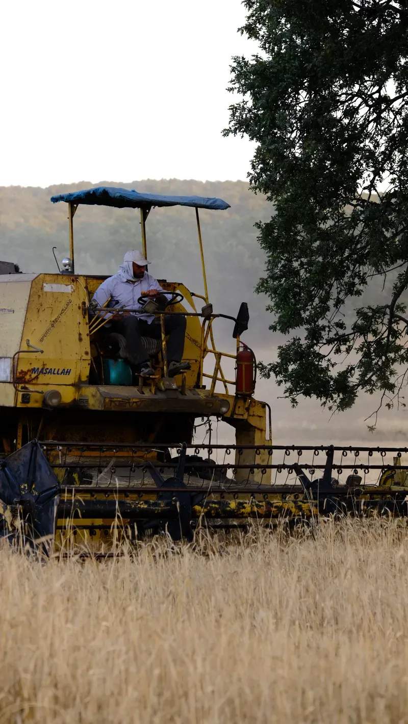 AgroSierra del Levante 10