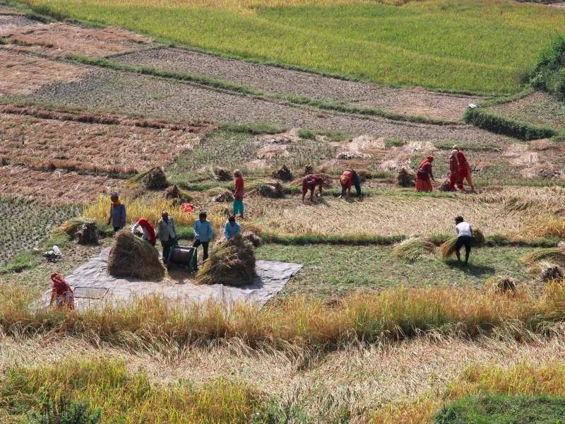 AgroSierra del Levante 14