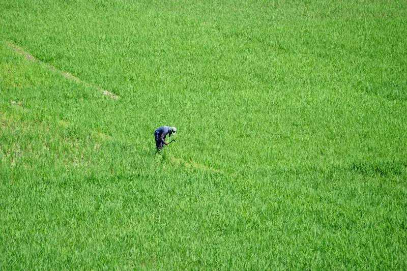 AgroSierra del Levante 2